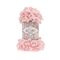 Alize Puffy 340 Powder Pink