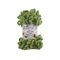 Alize Puffy 485 Green